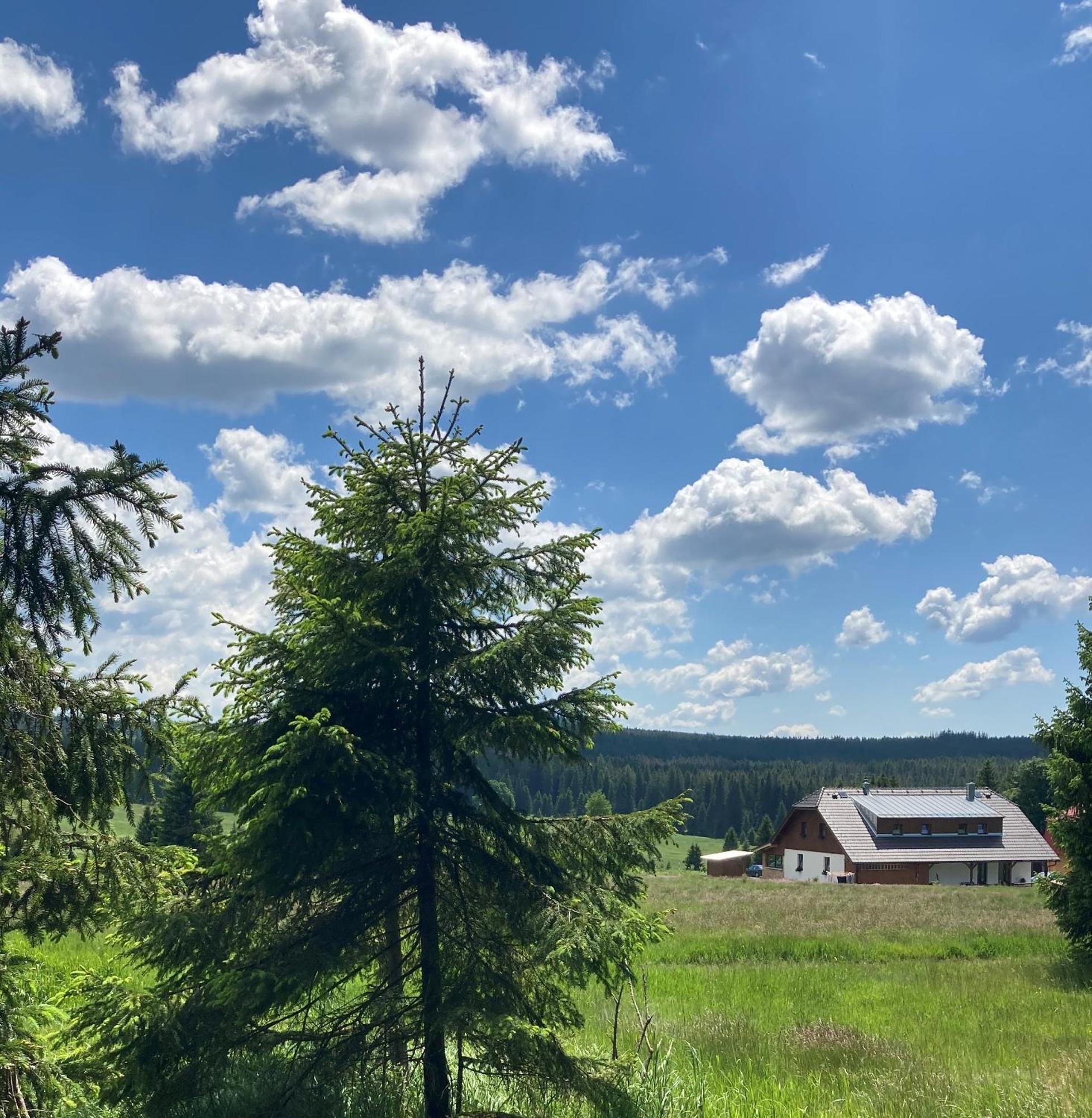 Apartmany V Chalupe Nad Modravou Modrava Exterior foto