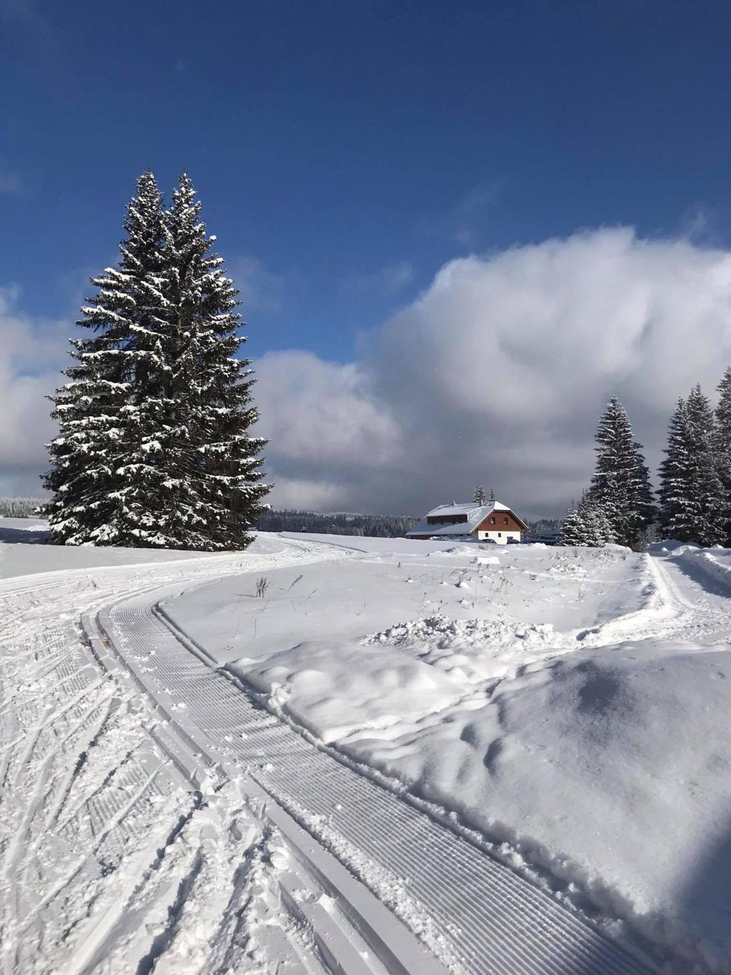Apartmany V Chalupe Nad Modravou Modrava Exterior foto